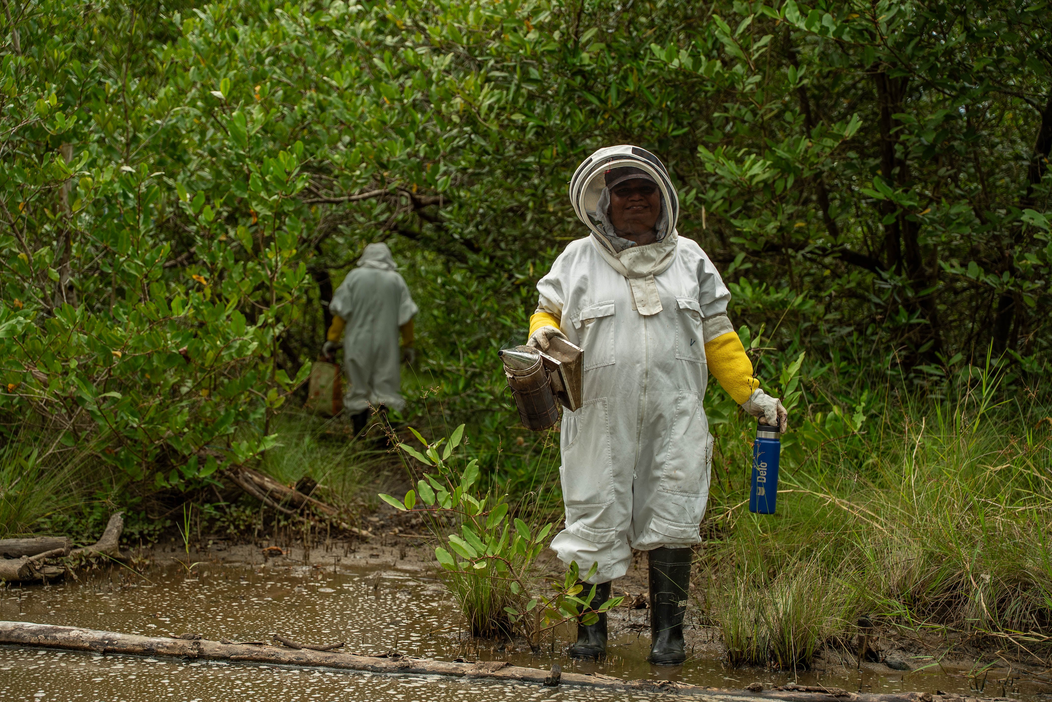 Familias puntarenenses pasaron de no saber nada sobre abejas a un emprendimiento único en Costa Rica, ApiMangle, que protege el manglar y genera ingresos con miel y tours educativos.