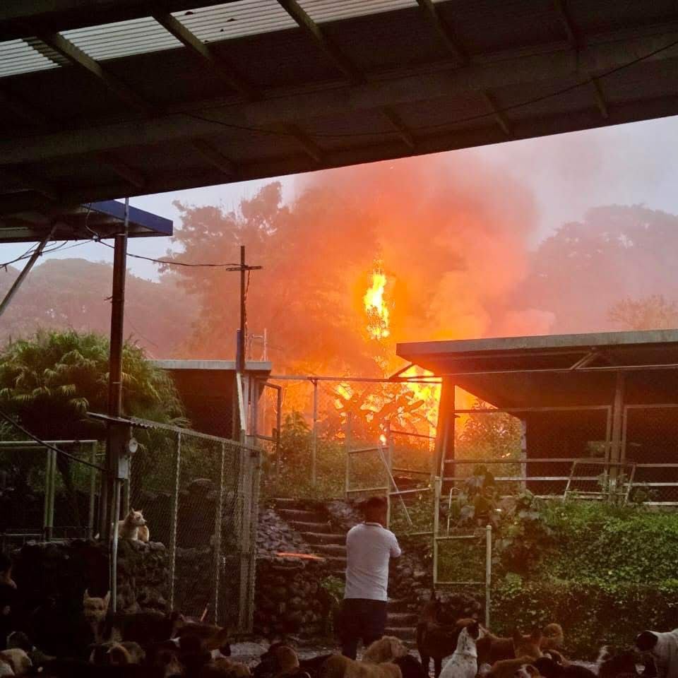 incendio territorio de zaguates
