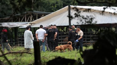 ¿Perro de vecino fue el que encontró cuerpo de Ligia Faerron? Esto dice el OIJ