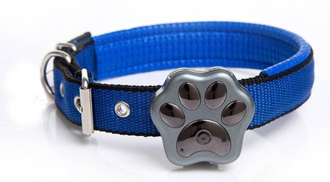 Artículos tecnológicos para perros.