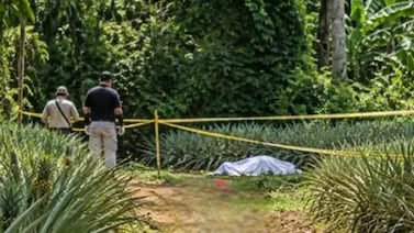 Revelan el posible motivo por el que hombre fue decapitado en San Carlos