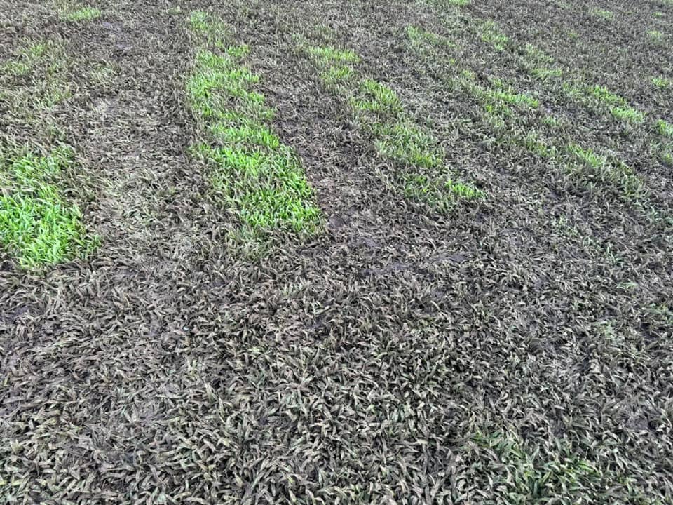 Estadio Chorotega, tras inauguración de Juegos Nacionales