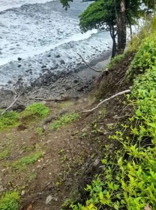 Una mujer de apellidos Díaz Solano está en manos de las autoridades judiciales por ser la principal sospechosa del asesinato de Nahomy Suárez Ramírez, de 19 años. Foto: Cortesía para La Teja
