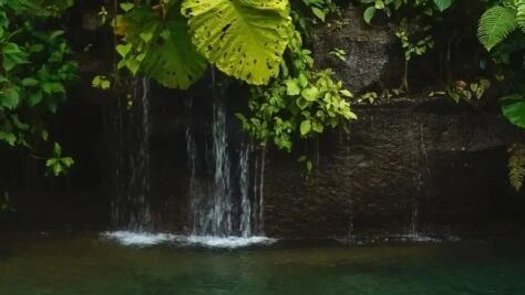Paraíso de Manantiales se ubica en Alajuela, Río Cuarto, La Colonia Toro Amarillo. Foto: Instagram