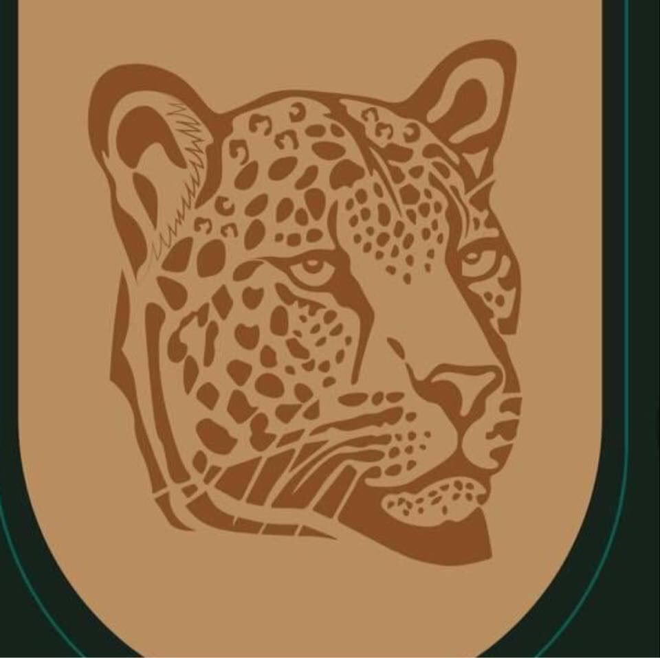 Este es el jaguar que usó el equipo de comunicación de Casa Presidencial para ilustrar el informe de labores del presidente Rodrigo Chaves.