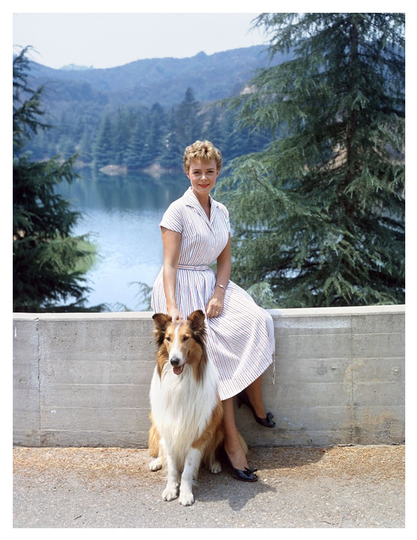 June Lockhart, estrella de Lassie y Perdidos en el espacio, falleció a los 100 años en Santa Mónica.