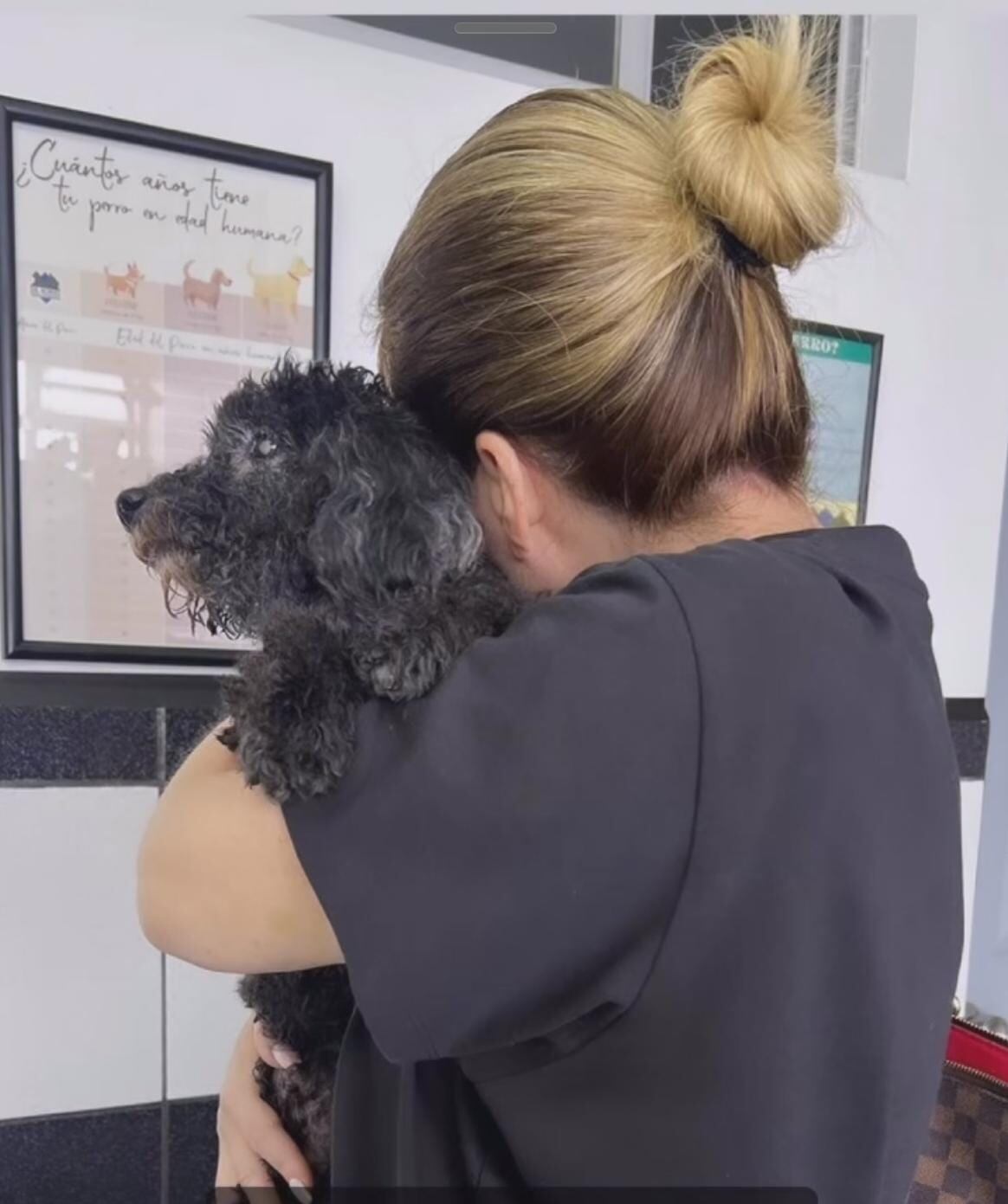 Glenda Peraza pasa un duro momento por la salud de su perrihijo