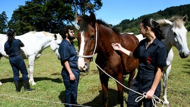 Conozca a tres “pensionados de lujo” que sí merecen tirársela bien rico
