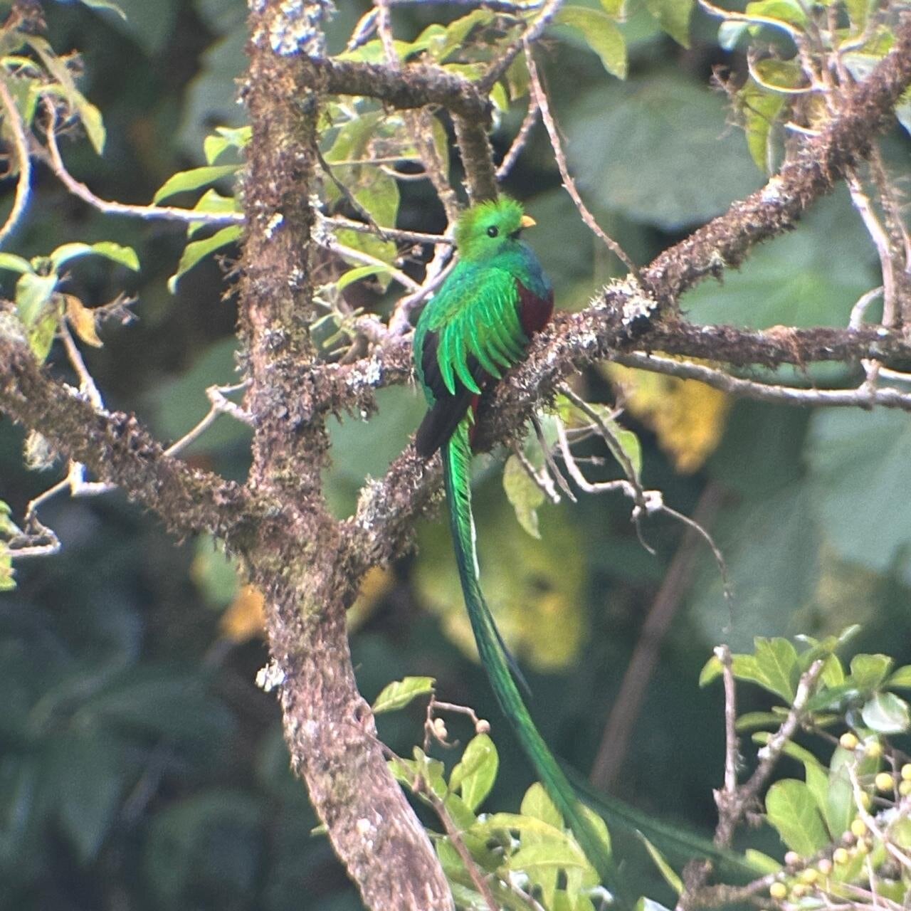 Jeff On encontró en Costa Rica su rincón perfecto para relajarse y recargar energías.