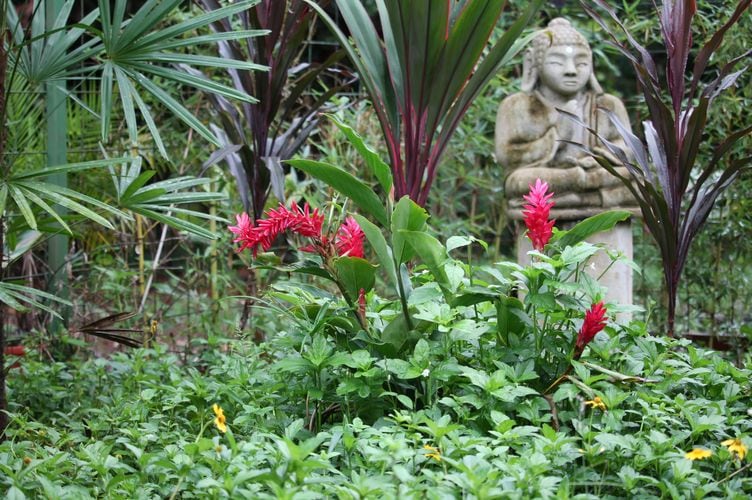 Caribbean Botanical Garden