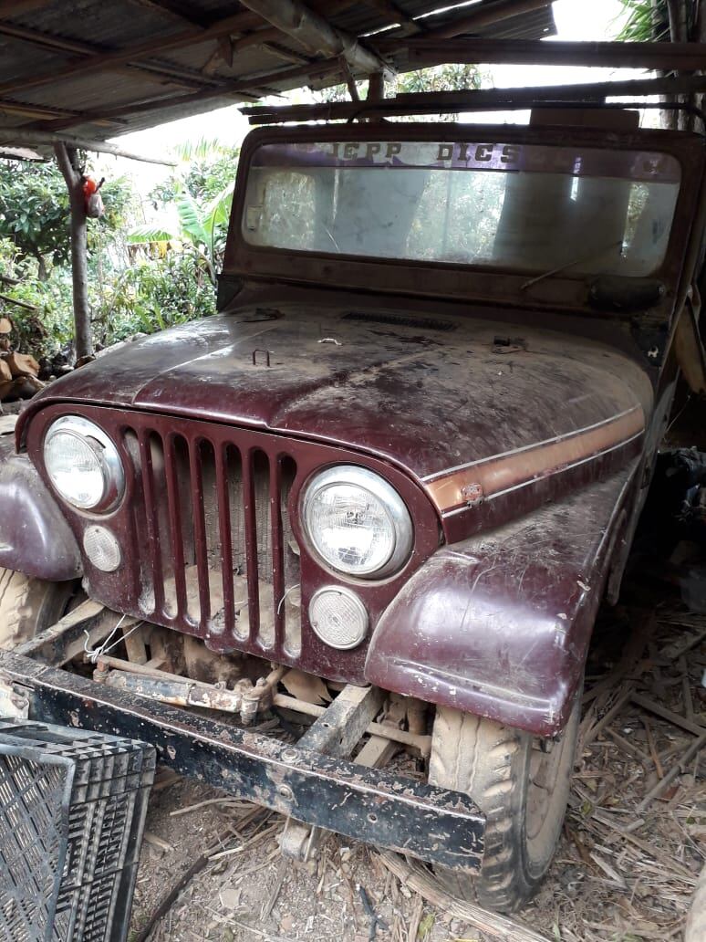 Un jeep willys modelo 65 es la adoración de Diego Quesada y ama este carro desde que nació. Cortesía.