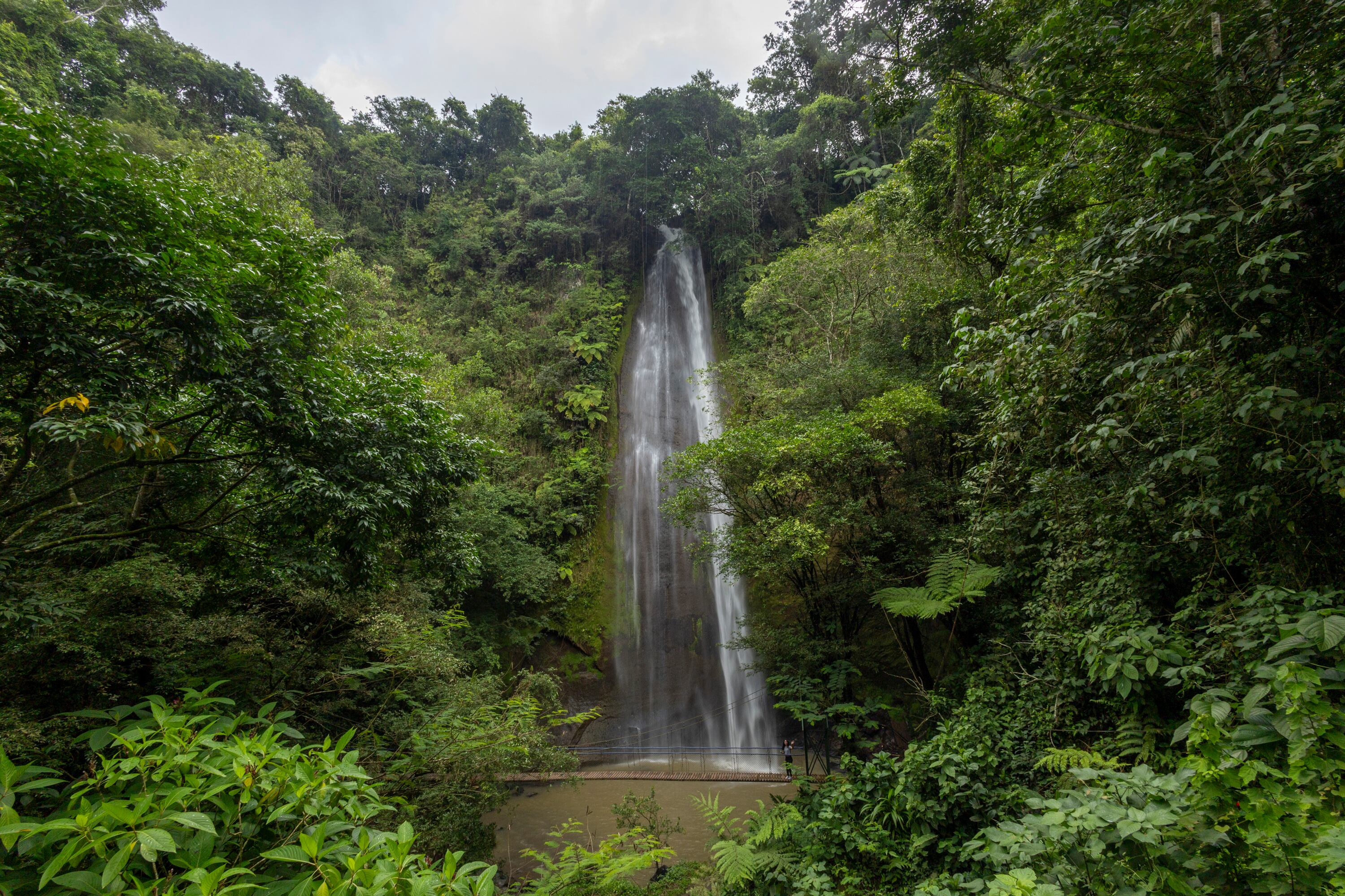 18/06/2024, Alajuela, San Ramón, recorrido por el Parque de Aventura Ecomusas, para experimentar todos sus atractivos.