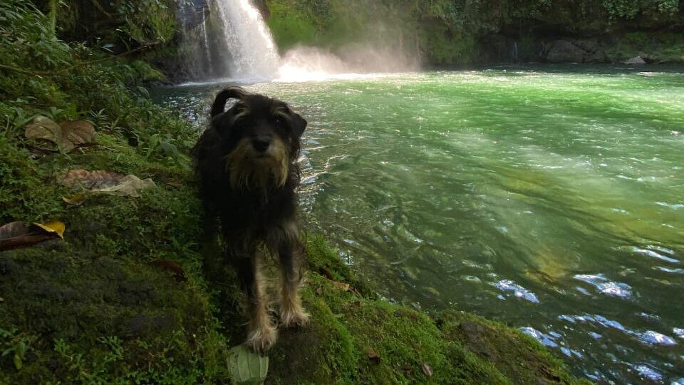 Catarata Pozo Azul se ubica en Sarapiquí, en la provincia de Heredia.