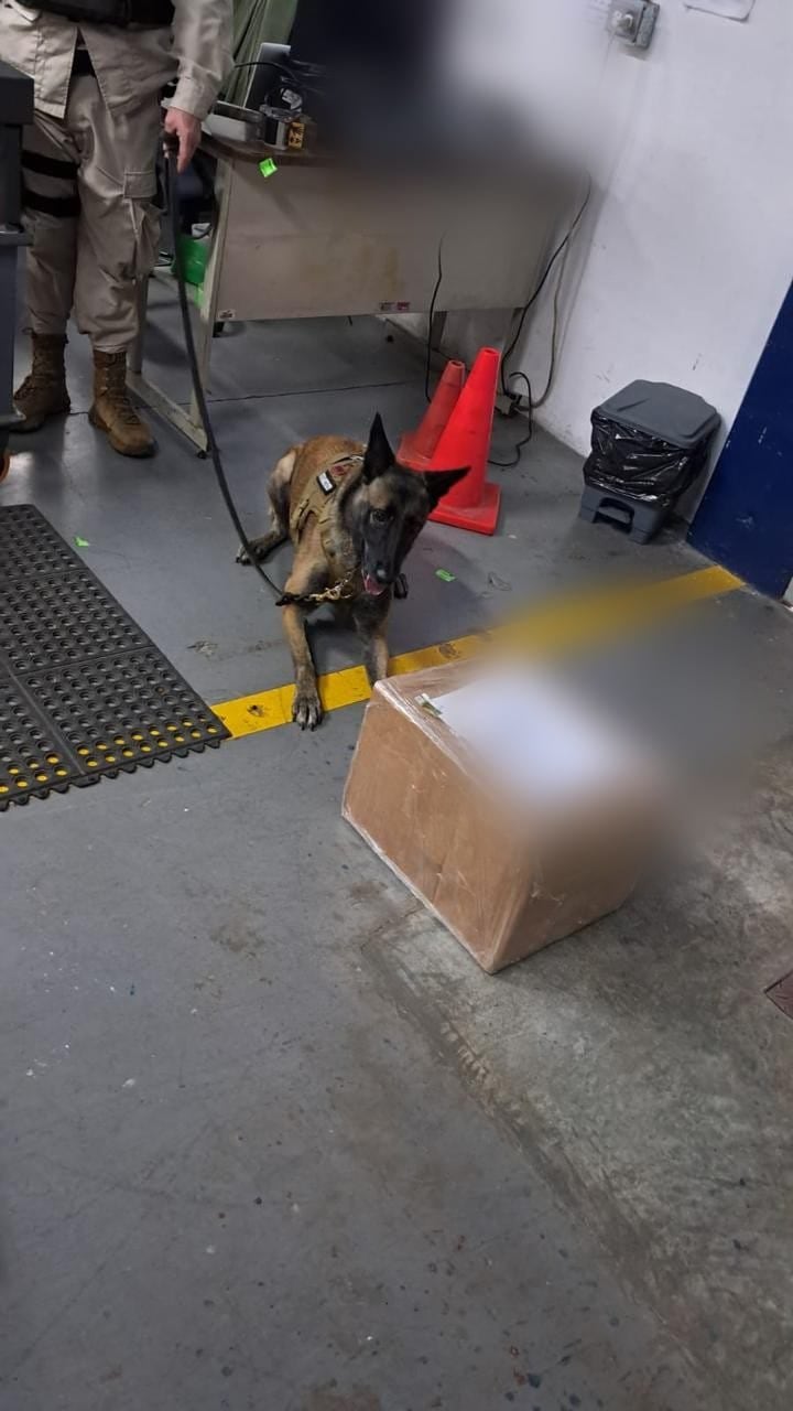 Decomiso de droga en el correo.