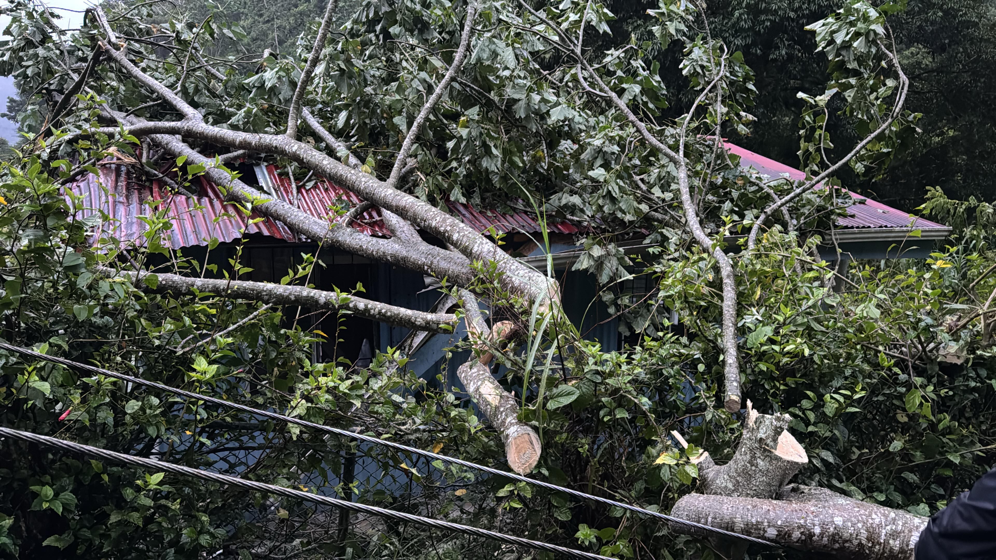 Los ventoleros y las lluvias han afectado principalmente la provincia de LImón.