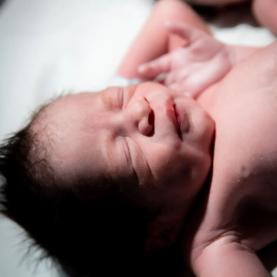 Lussania Viquez presentó este viernes a sus colochudos: Antonella y Alessandro. Facebook.