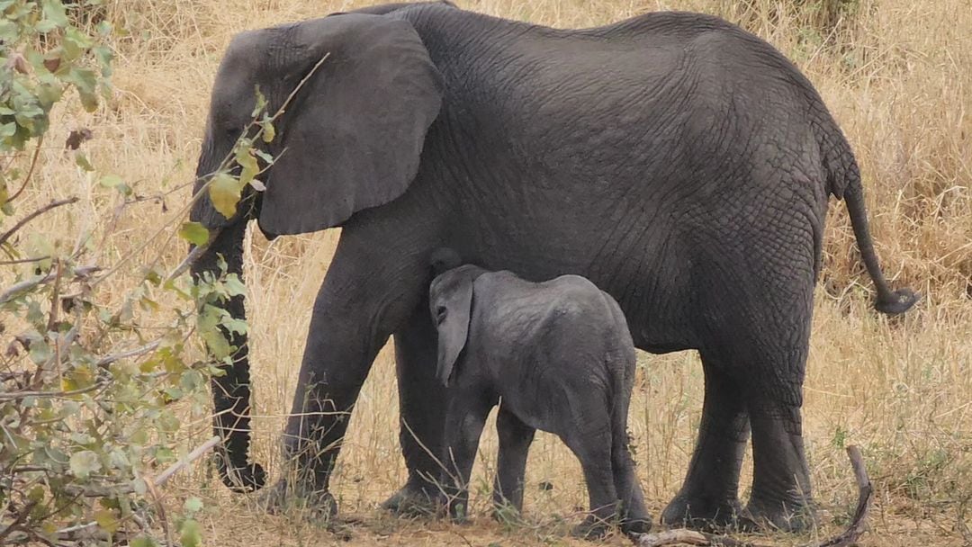 La presentadora de televisión, Natalia Rodríguez, y su esposo Emilio Garro.