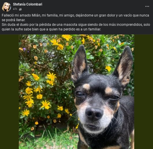 Stefanía Colombari, periodista de Teletica