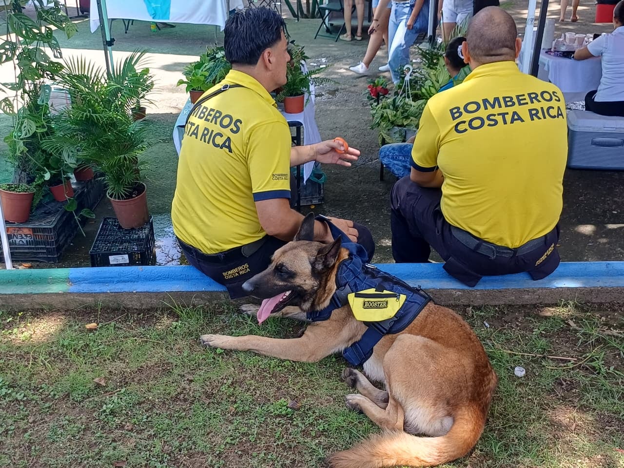 Booster, el bombero de cuatro patas que se ganó a puro cariño a los rescatistas de estación de bomberos de Limón