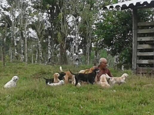 Rafael Mejías, dueño de 36 perros que fue asesinado en Pococí, Limón. Foto cortesía Mariana Segura.