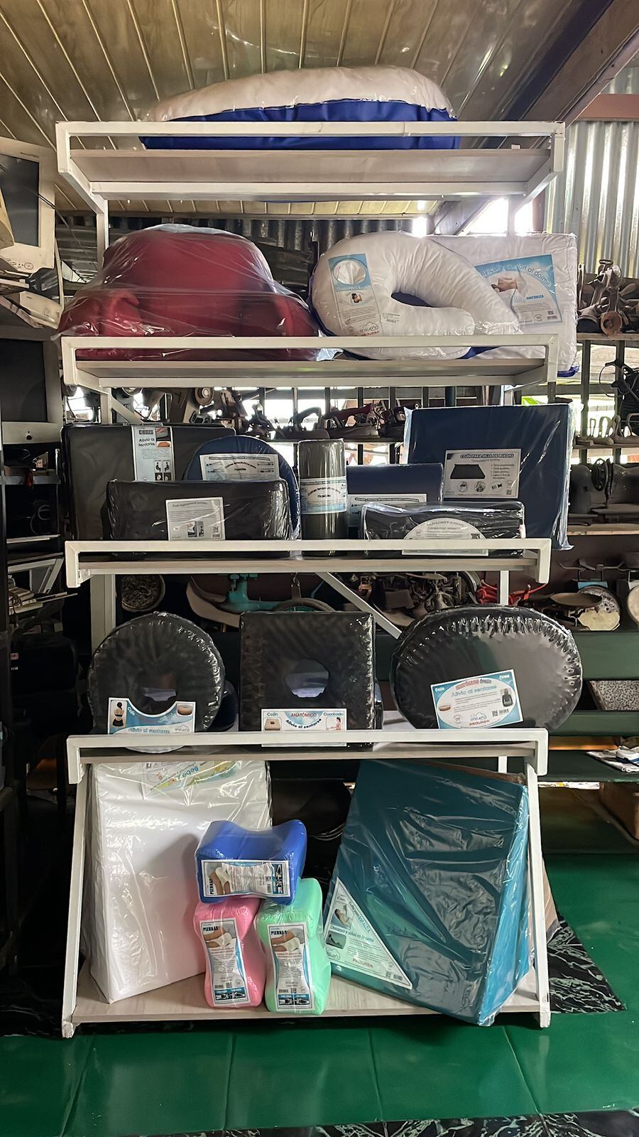 Angie Muñoz Ramírez