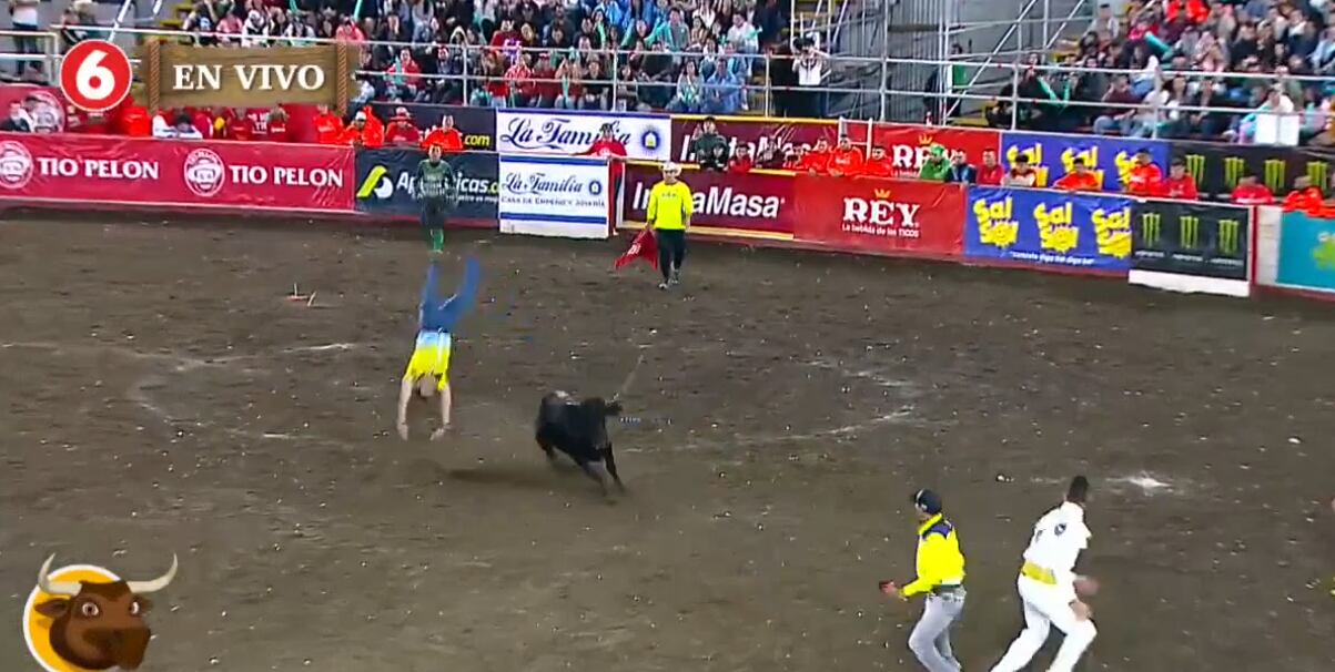 A Ítalo Marenco no le quedó de otra que pedirle perdón a su esposa, Cindy Villalta, luego de algo bastante arriesgado que hizo en Toros del 6 y que le pudo haber costado la vida.