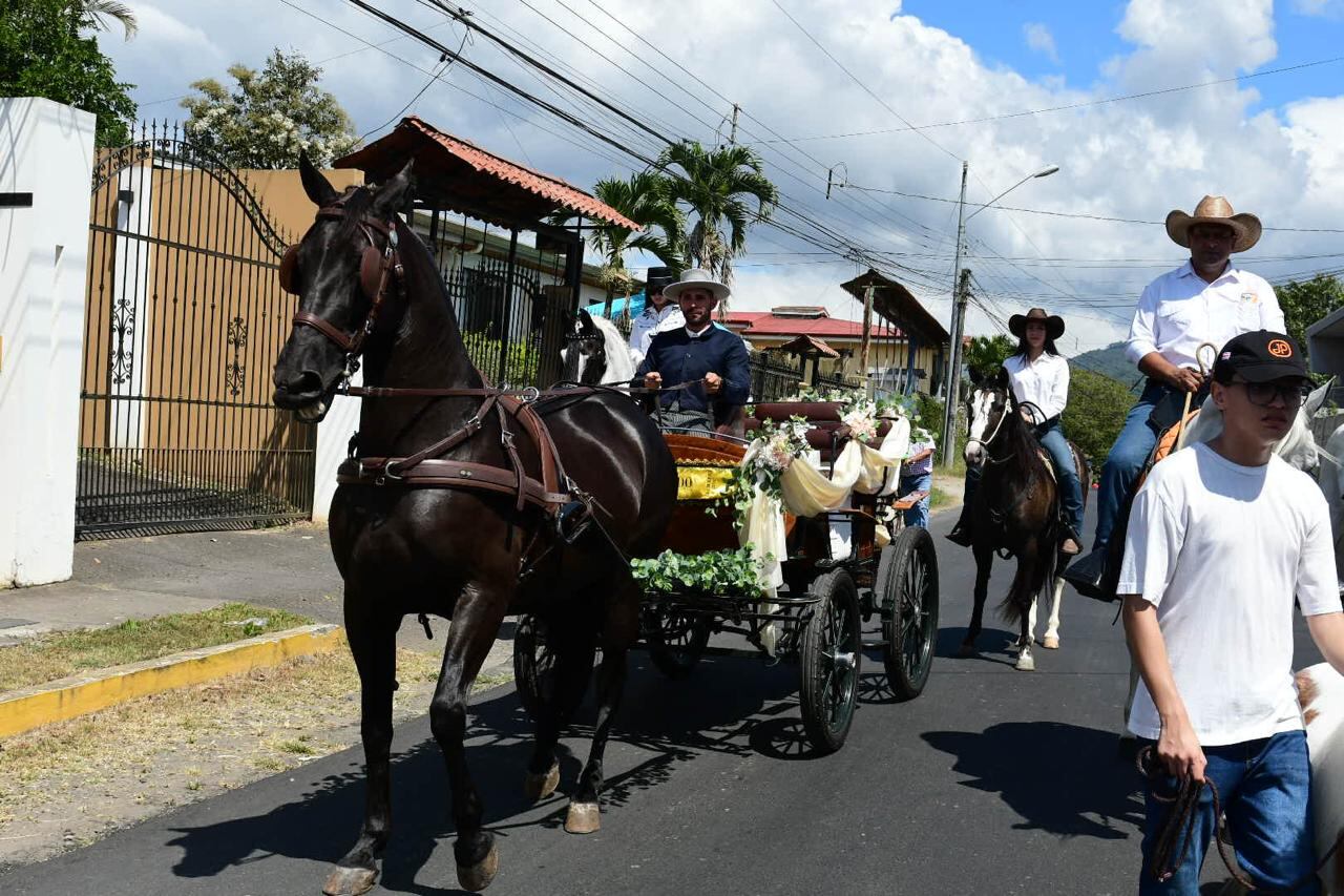 सुंदर रफल्स क्रियाकलापाकडे लक्ष वेधून घेतात. छायाचित्रण: जॉर्ज नवारो.