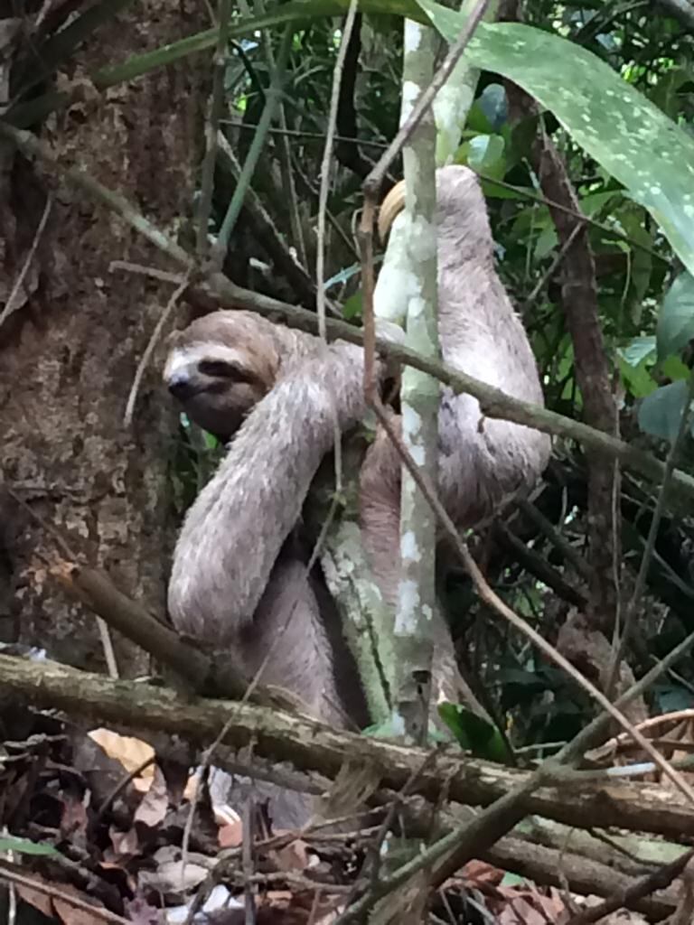 Parque Nacional Manuel Antonio
