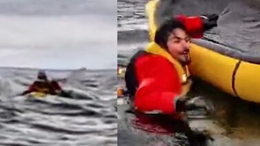 Papá grabó cuando a su hijo se lo tragó una ballena jorobada