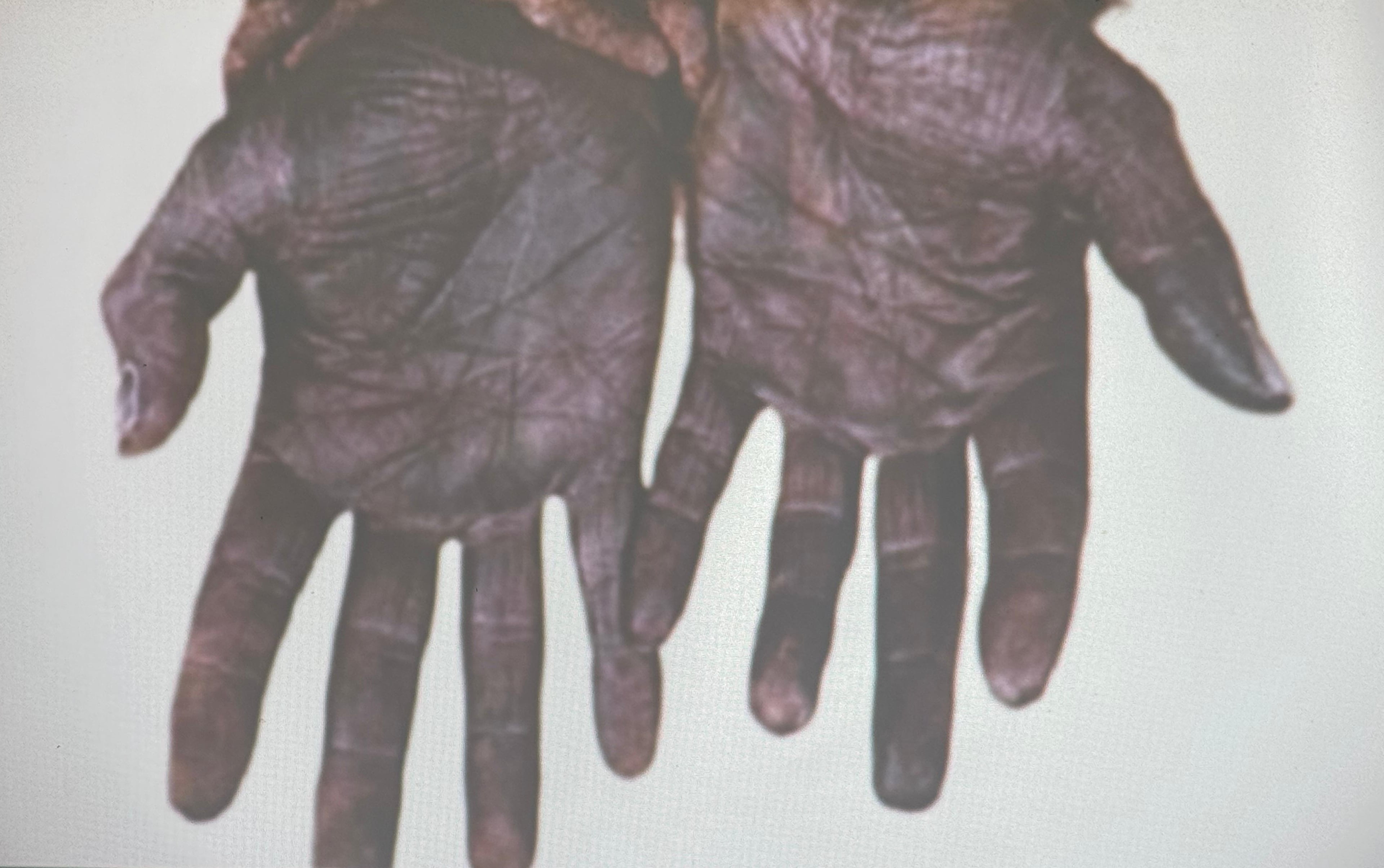La muestra “Orgullo y dignidad Afrodescendiente” reúne fotografías, libros y memoria histórica como parte del 28 Festival de la Diáspora Africana.