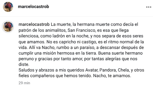Marcelo Castro