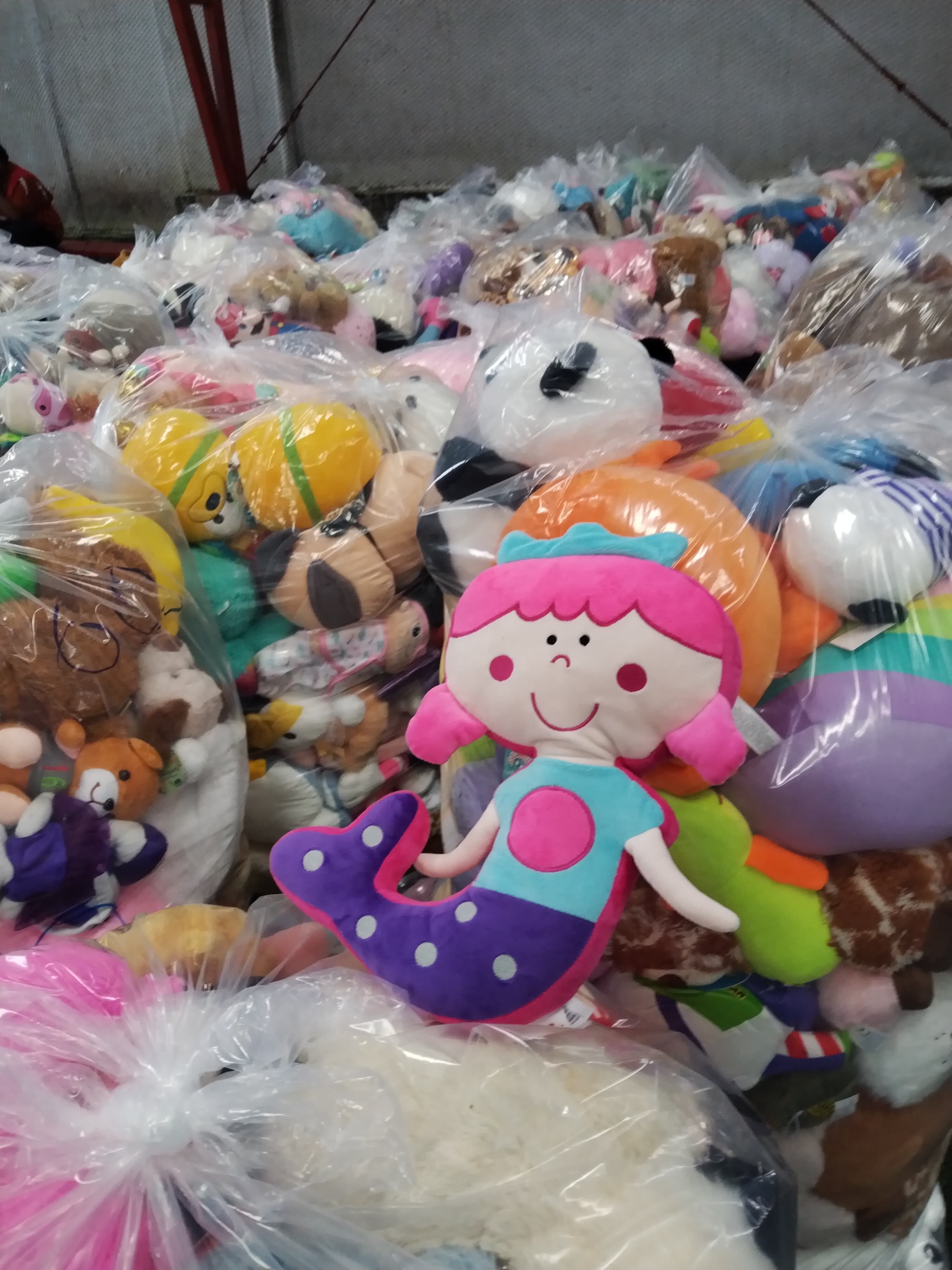 El padre Sergio Valverde de Obras del Espíritu Santo, comenzó el lunes 11 de noviembre a acomodar los peluches que los ticos donaron en la lluvia de peluches en el estadio Ricardo Saprissa.