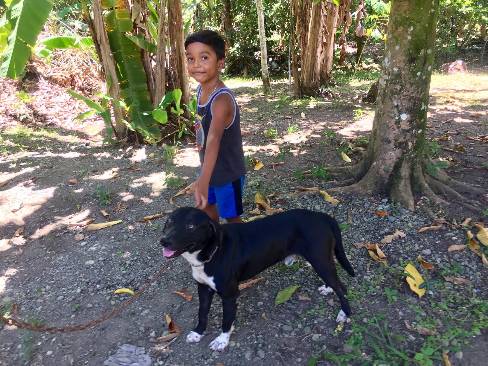 Heydan Vargas, niño que fue atacado por perro en Limón. Foto Raúl Cascante.