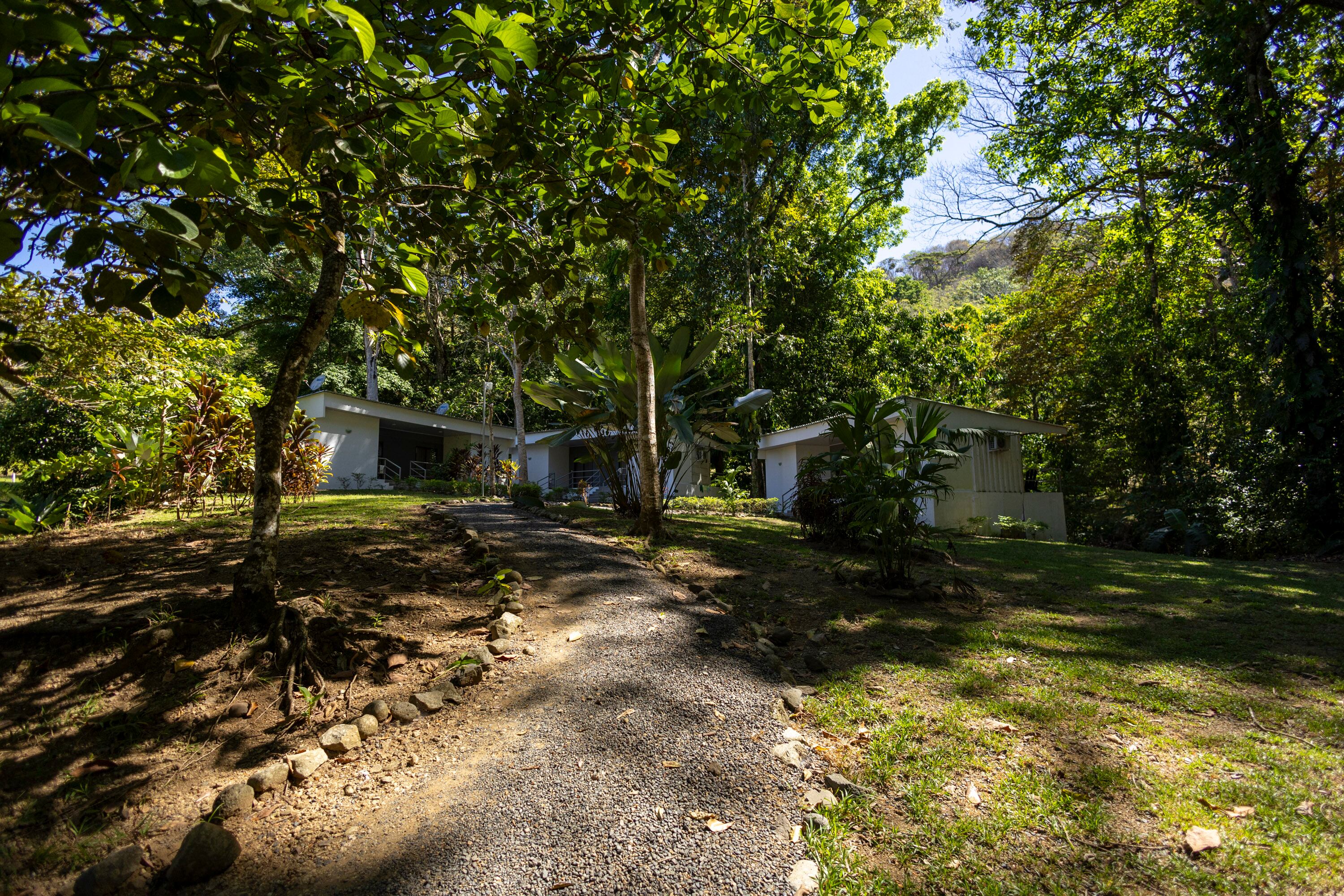 MATERIAL EXCLUSIVO DE LA TEJA.
27/02/2024, Puntarenas, Jacó y Quepos, recorrido por Carara Adventure Park y la Marina Pez Vela, para ver las atracciones que ofrecen al turismo nacional y extranjero.