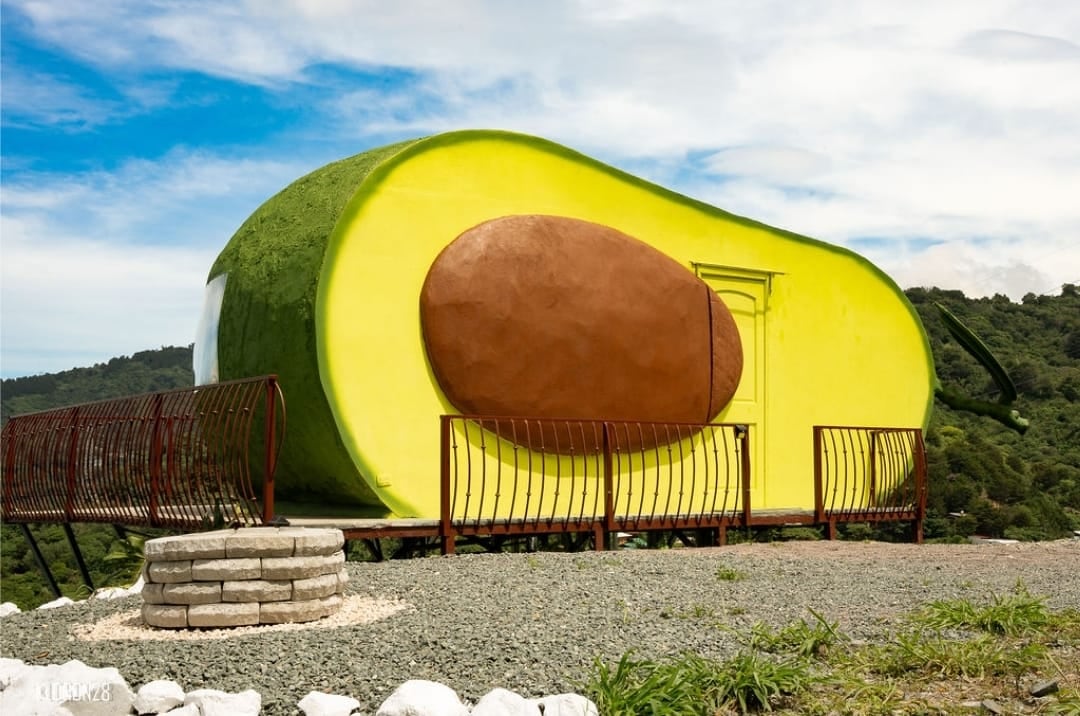 Aguacate de Ensueño