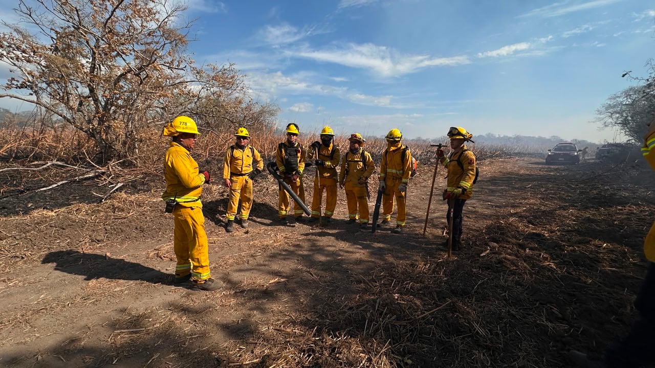 El incendio en Palo Verde tiene trabajando a más de 60 bomberos por día ya que el fuego está encerrado pero no controlado. Se quemó ya una extensión como de unas 56 parques La Sabana.