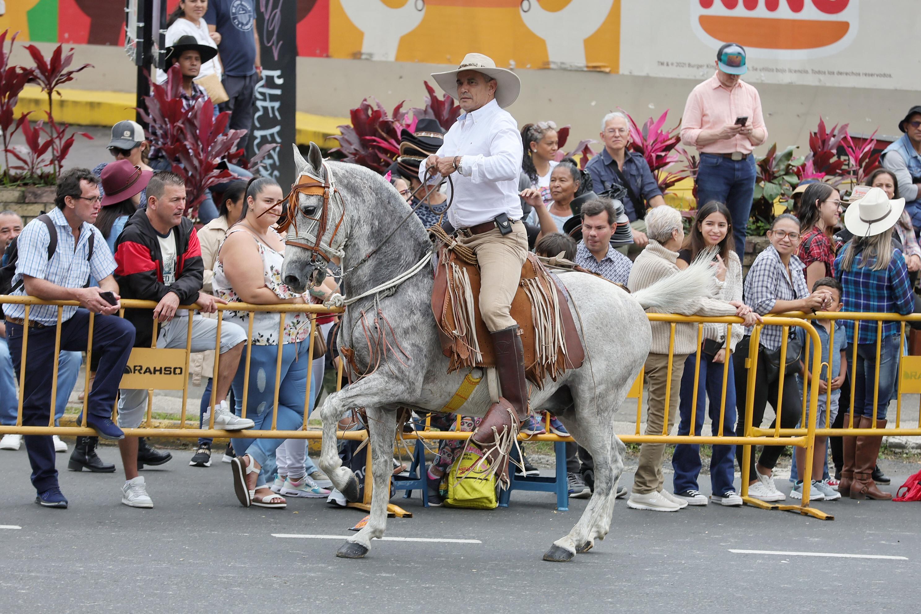 Imágenes del Tope Nacional que se realizó este 26 de diciembre del 2024 en las principales calles de Montes de Oca.  En las imágenes se ve a caballos y caballistas, así como manifestantes en contra del maltrato animal y bailarinas típicas en la actividad.