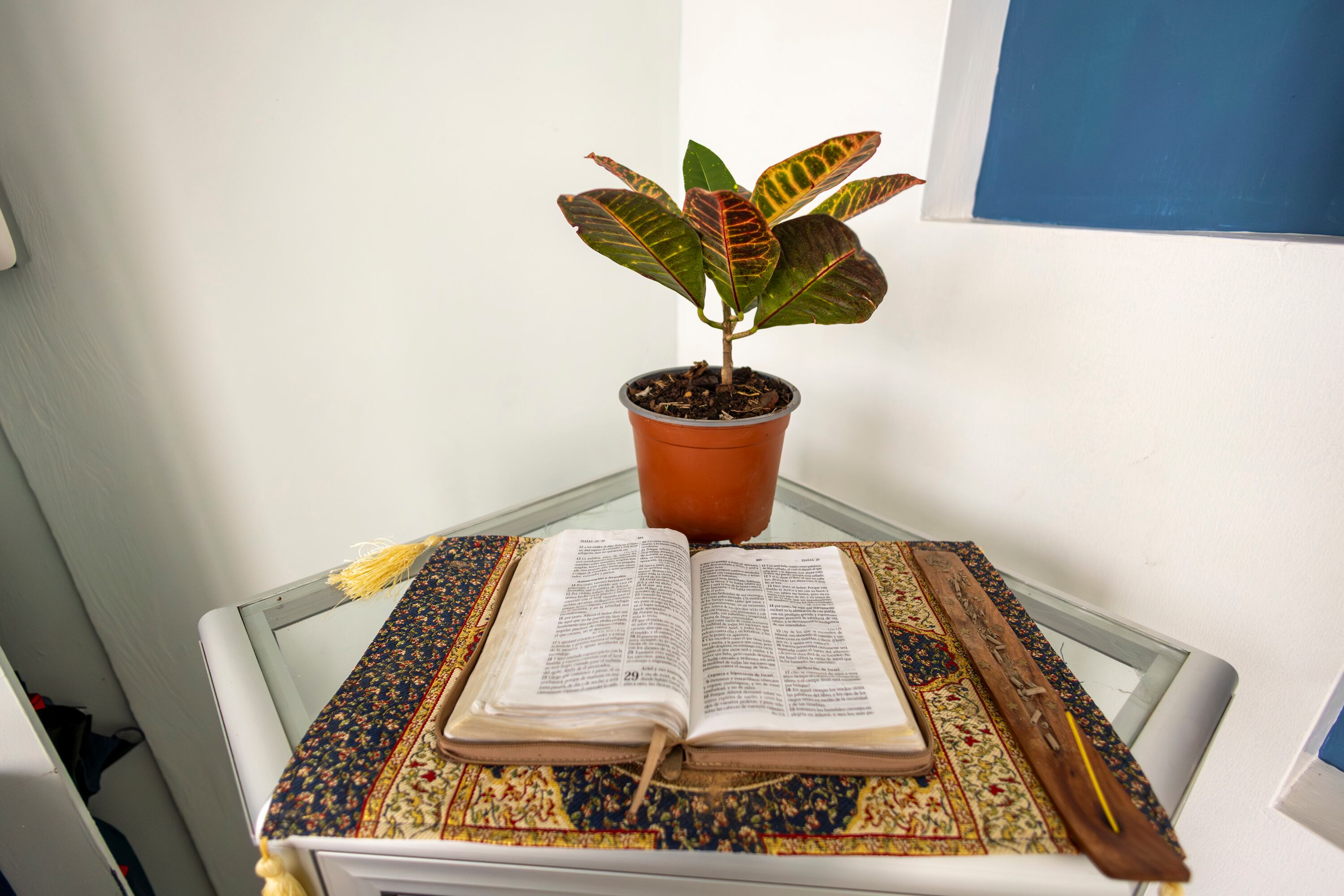 14/08/2024, Heredia, Santo Domingo, entrevista con Lucrecia Castro, dueña de Bielece Spa, para hablar acerca de los servicios que se brindan.