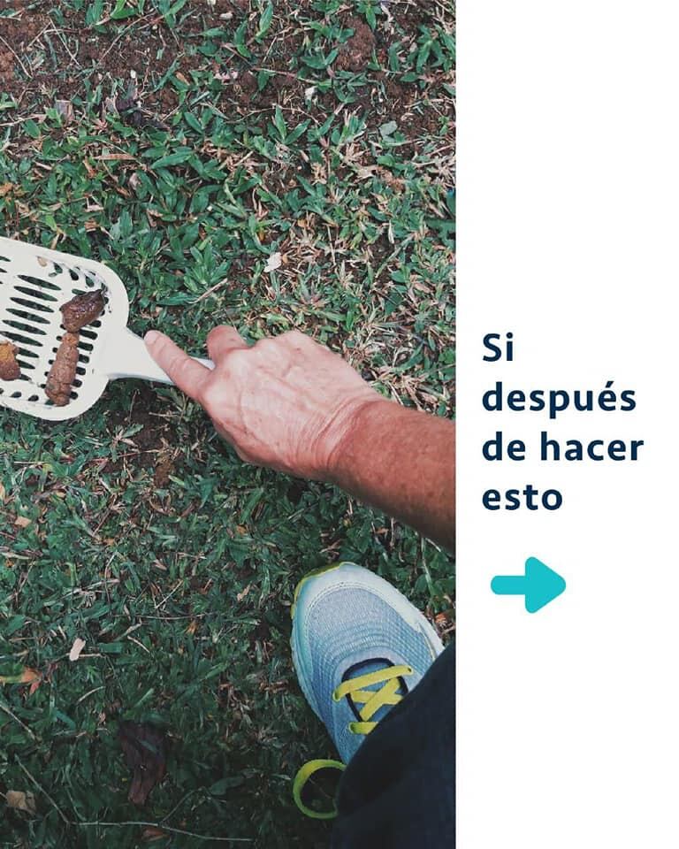 Abono con popo de perro