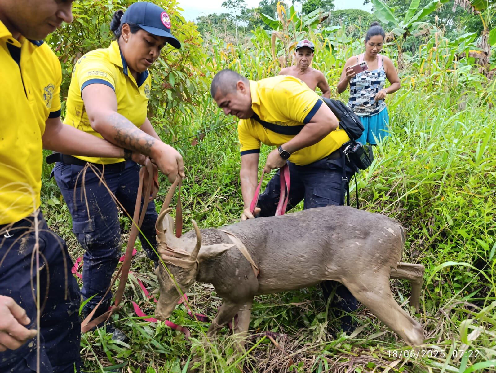 Héroe anónimo bomberos de Costa Rica