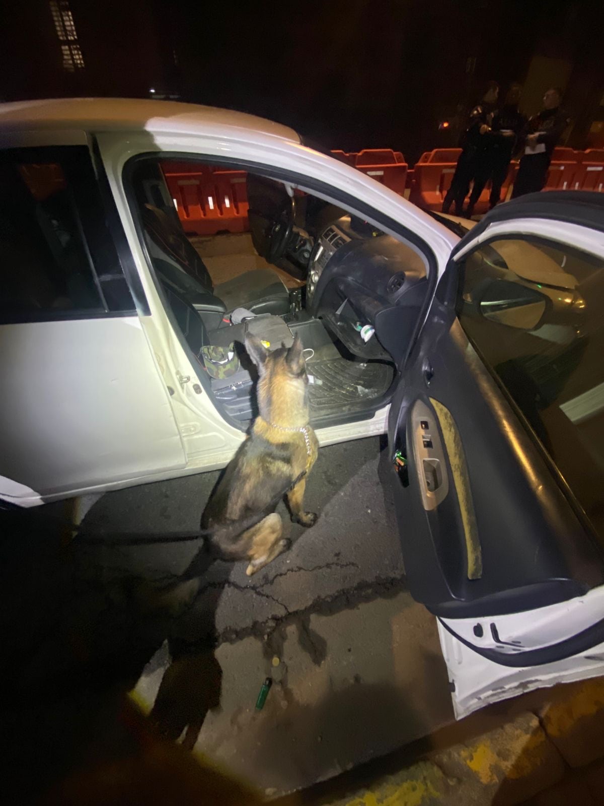 El decomiso se realizó en el centro de San José. foto PMSJ