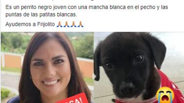 Opinión: Mucho más allá de un Frijolito
