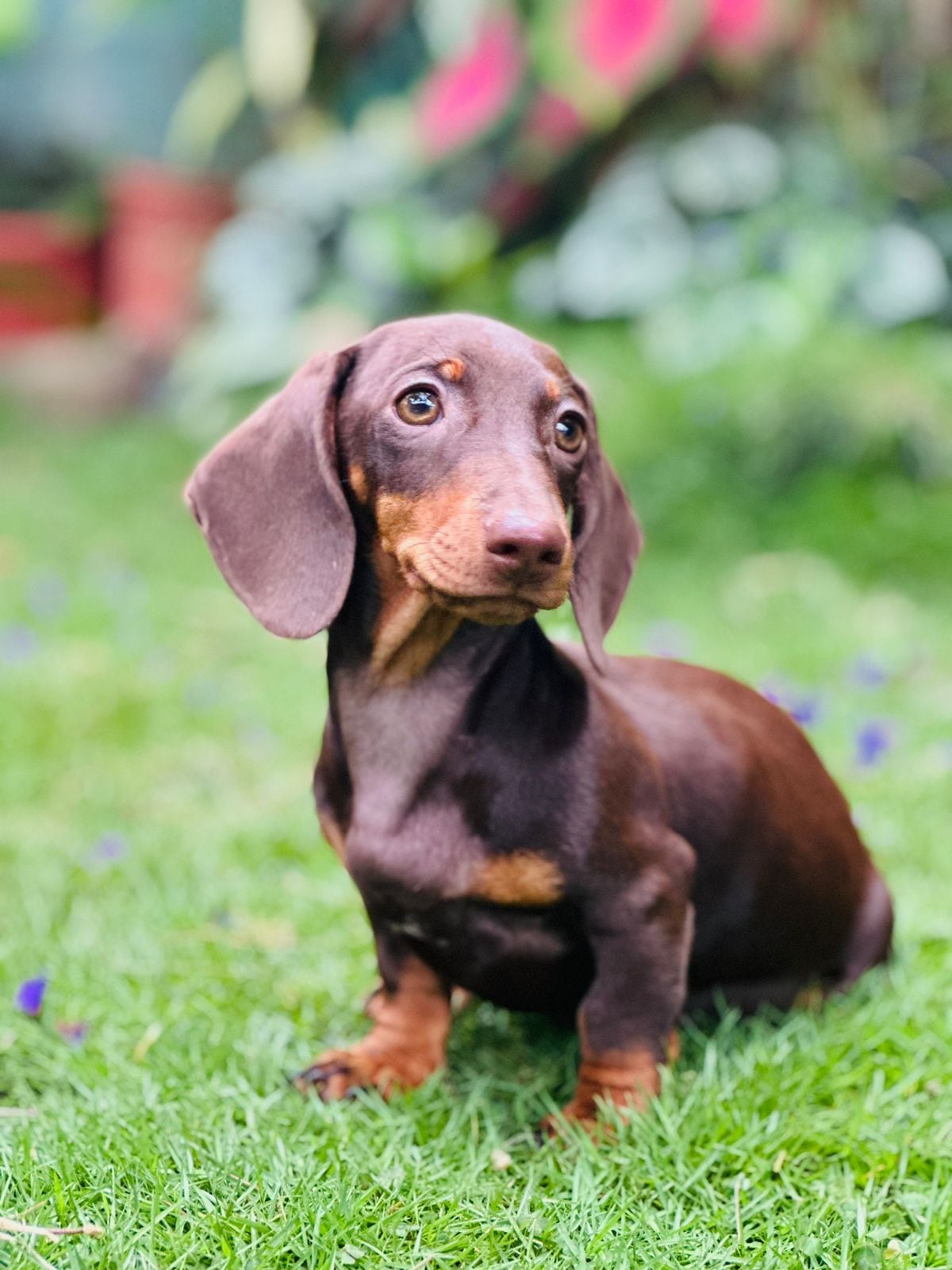 Jonathan López, exparticipante de Combate de Repretel