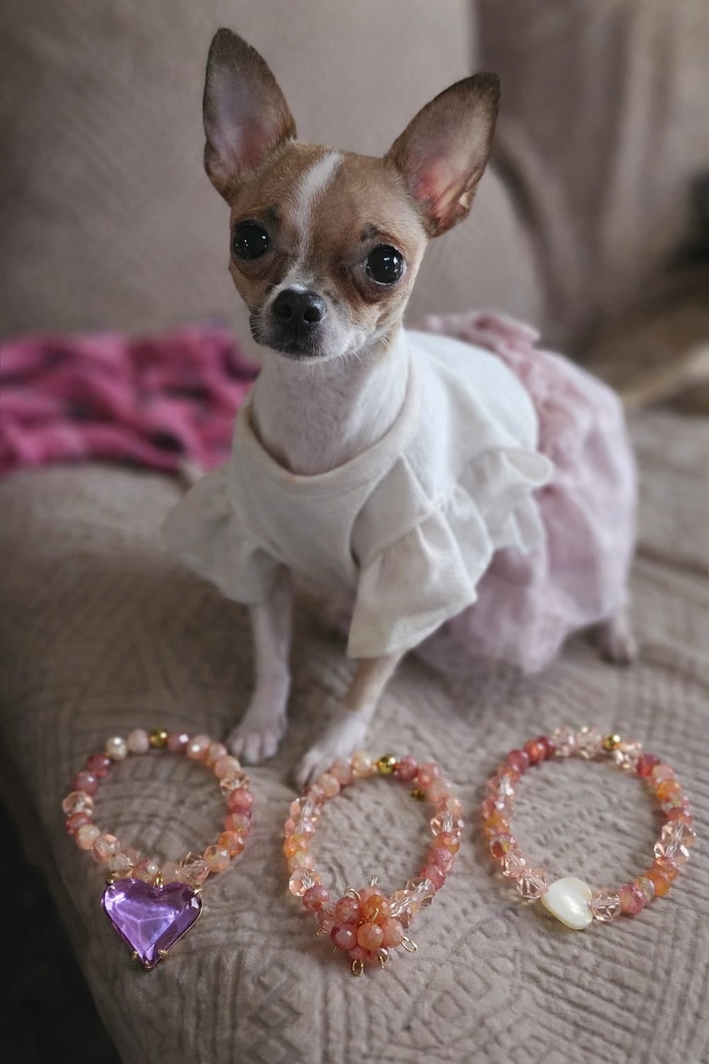 En medio del dolor más grande de su vida, Jennifer Pazos, de 38 años, encontró una luz pequeñita, de apenas 2 kilos y 400 gramos, que hoy le devuelve la sonrisa todos los días, se llama Betty