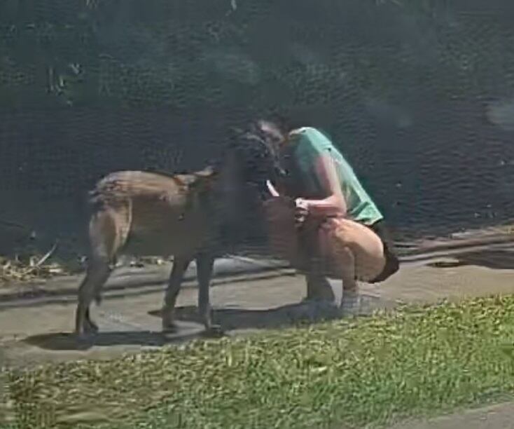 या जोडप्याने एस्काझमध्ये घेतलेला कुत्रा शोधण्यात त्यांनी मदत केली. फोटो सौजन्याने.