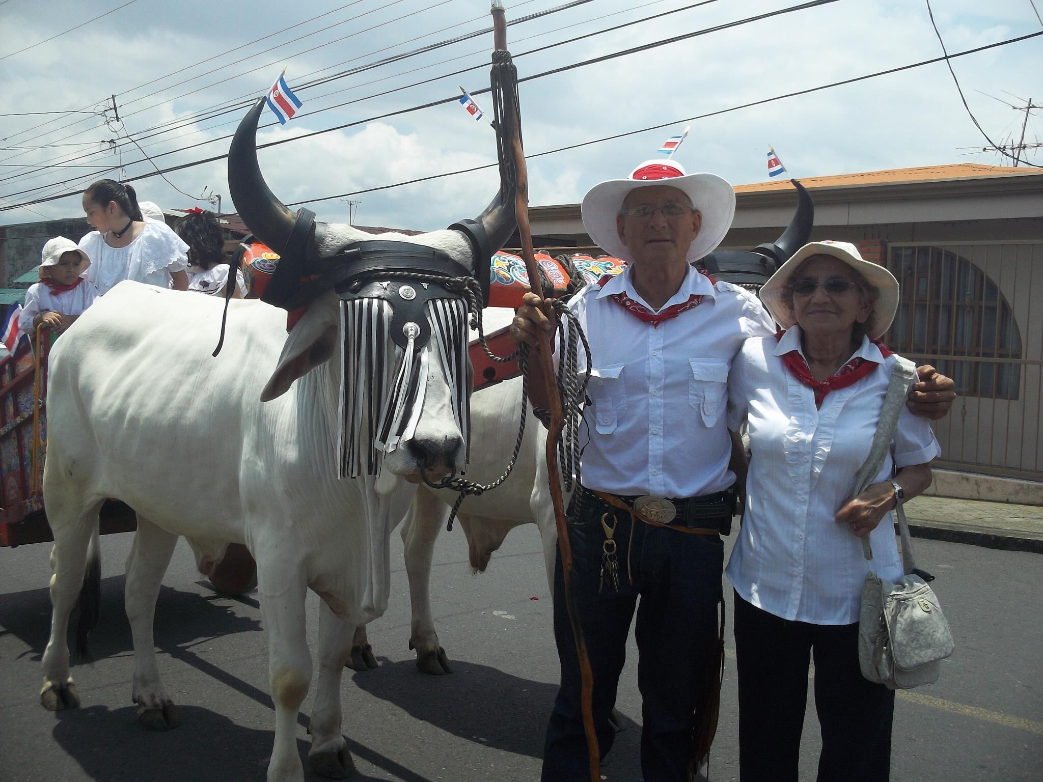 Don Víctor Sánchez Jiménez, un boyero de la pura cepa, de esos que nacieron en la casa y fueron inscritos mal ante el Registro Civil