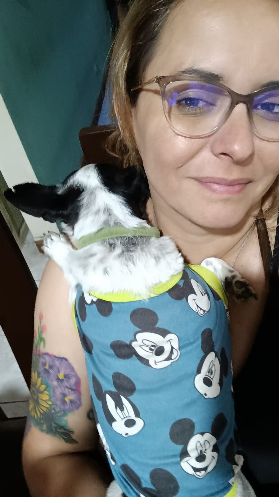 Robinson, un perrito chihuahua de quien podría decirse que la virgencita de Los Ángeles, nuestra Negrita, le hizo un pequeño milagrito y lo salvó de morir de hambre, pasándolo de indigente a ser el rey. En la foto con doña Pamela Rodríguez Mora