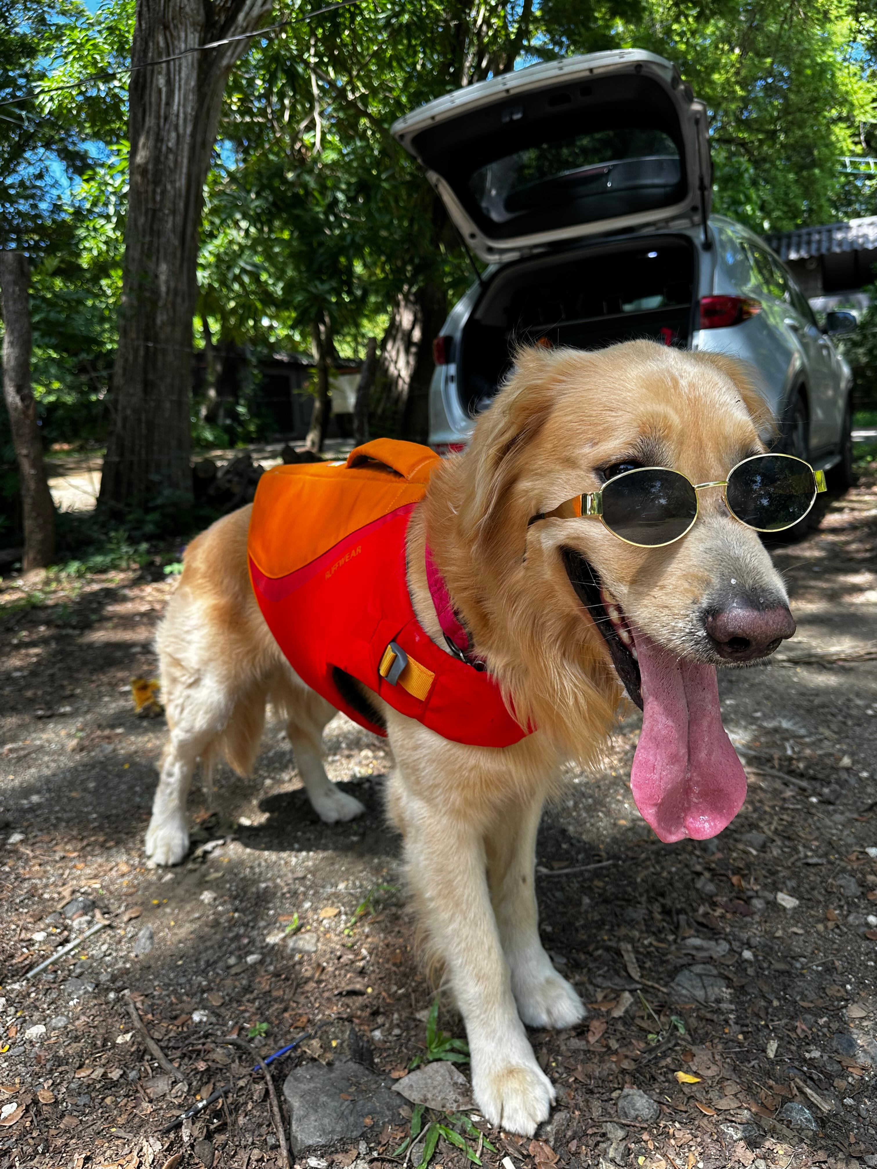 Geancarlo Castro nos presentó a Flash, su mascota, en las celebraciones del Día Mundial del Perro. Cortesía.