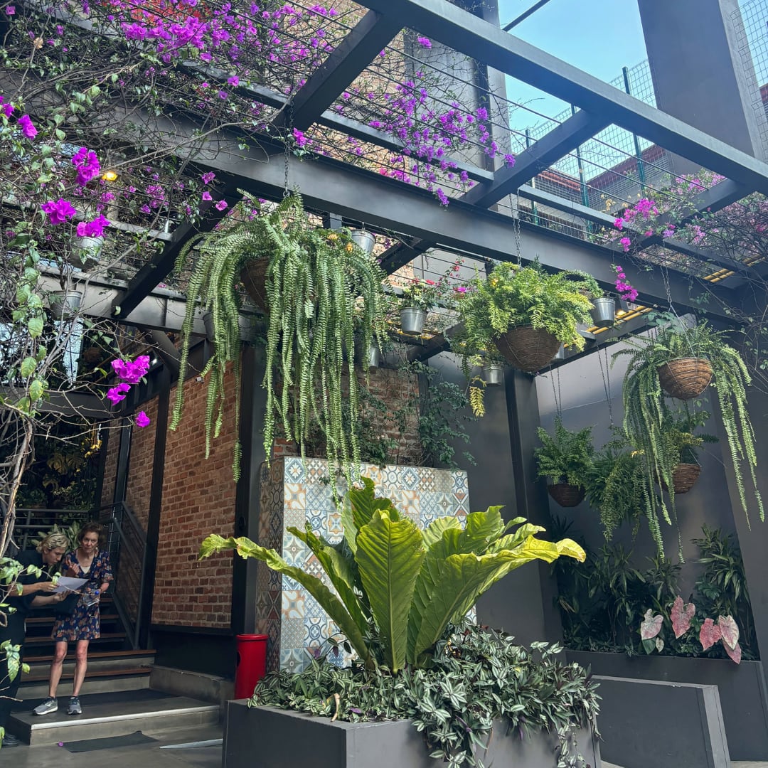 Muy vistosa y llena de naturaleza, así es la entrada principal del hotel Presidente.