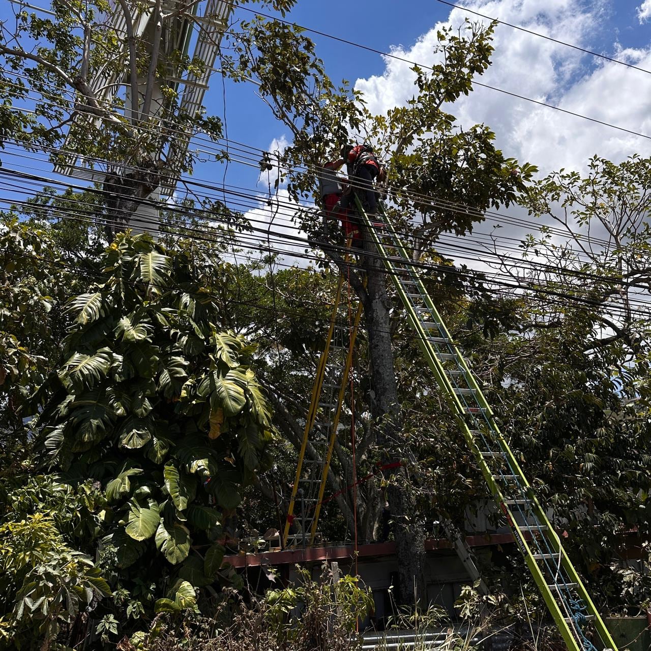 Hombre murió al sufrir una descarga en Escazú. Foto: Alonso Tenorio